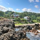 영덕바닷가솔밭펜션 이미지