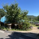 하늘밭, 봄 이미지