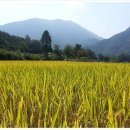 가을동화펜션 이미지