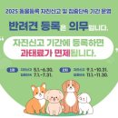 동해시-30 이미지