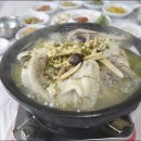 초원생오리 이미지