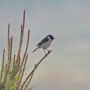 낙동강변15 이미지