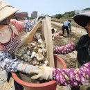 상모리-26 이미지