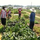 미현농장 이미지