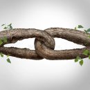 (주)연재 이미지