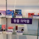 신사스퀘어약국 이미지