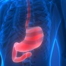 범암 | 포인트 바이오파마 글로벌(PNT) Lilly가 파이프라인을 갖춘 방사성 의약품 회사인 POINT를 주당 12.50...