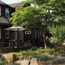 만리포들꽃펜션 이미지