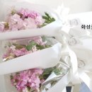 화산동근로자복지회관 이미지