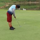 사파이어 골프 이미지