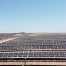 세비야태양광발전소 이미지