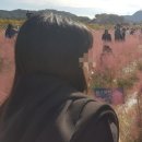 헤어살롱 훼이스 | 간편한 카카오헤어샵 이용하기/양주 헤어살롱훼이스 뿌리매직 후기