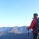 화개십리벚꽃길 이미지