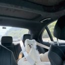 서당길 | [물놀이] 2025 여름 첫 바다입수 | 강릉 with Terry