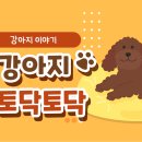 토닥토닥동물병원 이미지