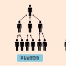 보라뷰티 이미지