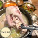 (주)엔타프 | 논현동 삼계탕 언주역 근처 삼계탕맛집 진전복삼계탕 여자친구가 반한 완도 전복의 깊은 맛