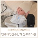 베스트산후조리원 | 천안 연세하임산후조리원 내돈내산 솔직 후기(예약, 식사, 비용, 남편출입, 모자동실)
