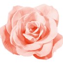 리유스튜디오 - 하남시 미사강변중앙로 220 | 리유스튜디오