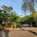 아워홈서울대대학원식당점주 | <커닷일기> 서울대 학식 투어 예술계식당, 느티나무 자하연 , 사범대 12동 북카페