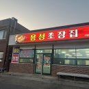 용성초장집