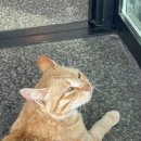 더 파티 노래연습장 이미지