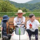 고려대학교 덕소농장