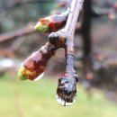 나의 첫 글+ 이야기의 시작 이미지