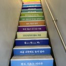 힘나는병원 | 종로) 탈모 성지 병원, 30대 여성 내돈내산 탈모약 후기