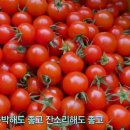 구미농장 이미지