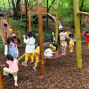 수락산 유아숲체험원 이미지