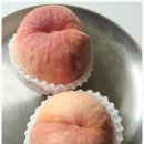 초리농장 이미지