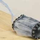 몸의형태 이미지