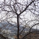 진섭농장 이미지