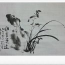 사군자 Daum카페