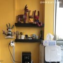 하이펫동물병원 이미지