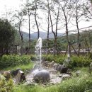 굿모닝자동차마을 한겨레