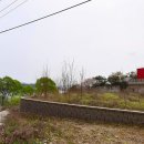 여주-1066 이미지