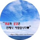 6195 | [세계여행+215] 독일 뮌헨 2일차(영국 정원/뮌헨 레지덴츠/마리엔 광장/구 시청사/신 시청사)