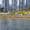 1369. 미아사거리 이미지