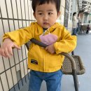 삼진어린이집 이미지