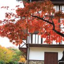 자매공원 이미지