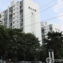 대지 이미지