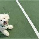 다우리유치원 이미지