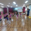 다윈태권도 이미지