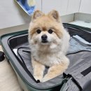 이마트24 R상봉스타점 | 1편- 4박5일 오사카 여행기, 이제 3개월 후에 쓰는 ㅎ