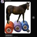 (주)비즈노블 | Popular You're gonna be popular