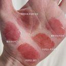폴인브라운 | 이글립스 폴인 틴트 신상 컬러 내돈내산 후기