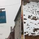 양재느티나무쉼터 이미지