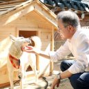 광주광역시 우치동물원 동물병원 이미지